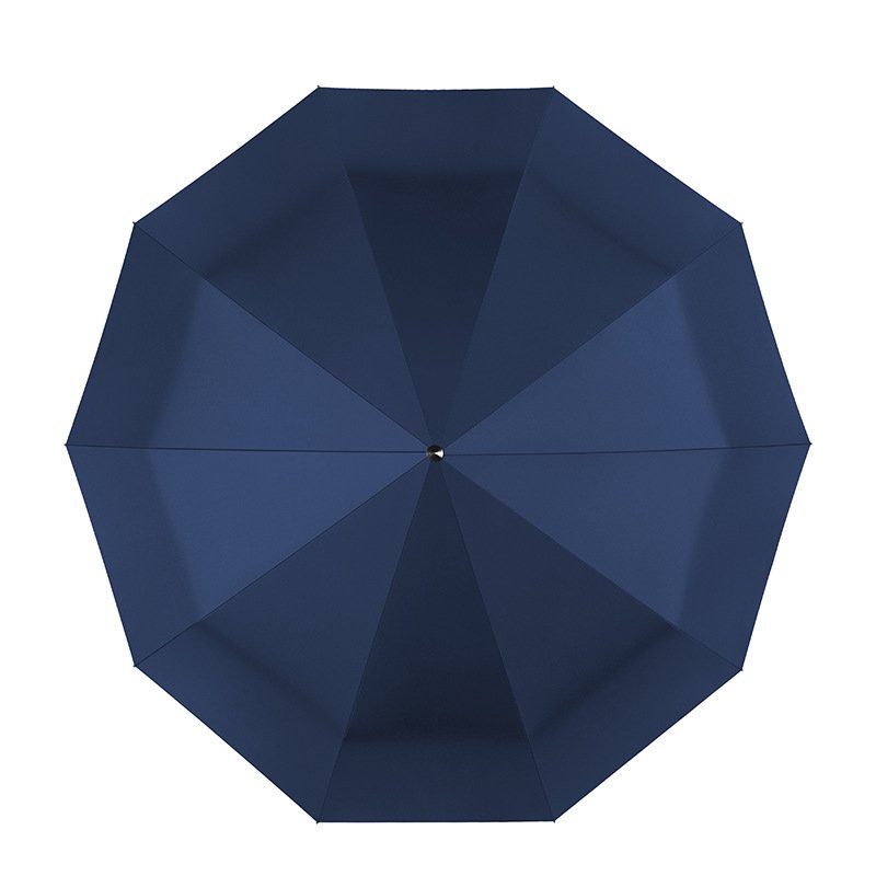Umbrella
